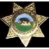 SECURITY SERVICES STAR BADGE PIN